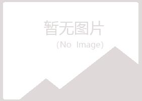 桐城夏岚建设有限公司